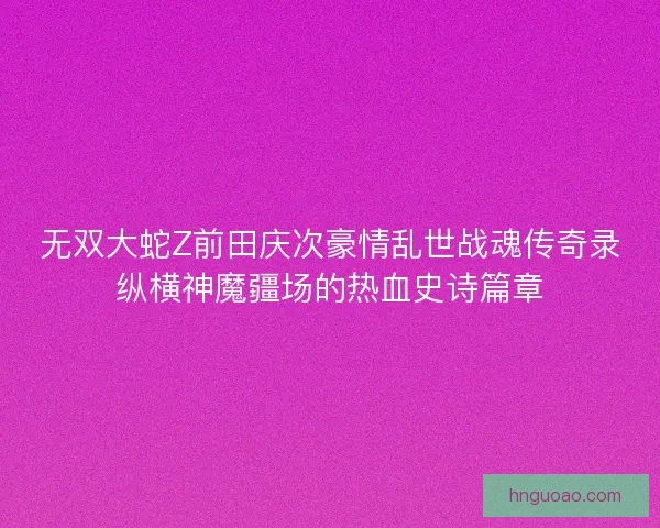 无双大蛇Z前田庆次豪情乱世战魂传奇录纵横神魔疆场的热血史诗篇章 无双大蛇Z前田庆次豪情乱世战魂传奇录纵横神魔疆场的热血史诗篇章